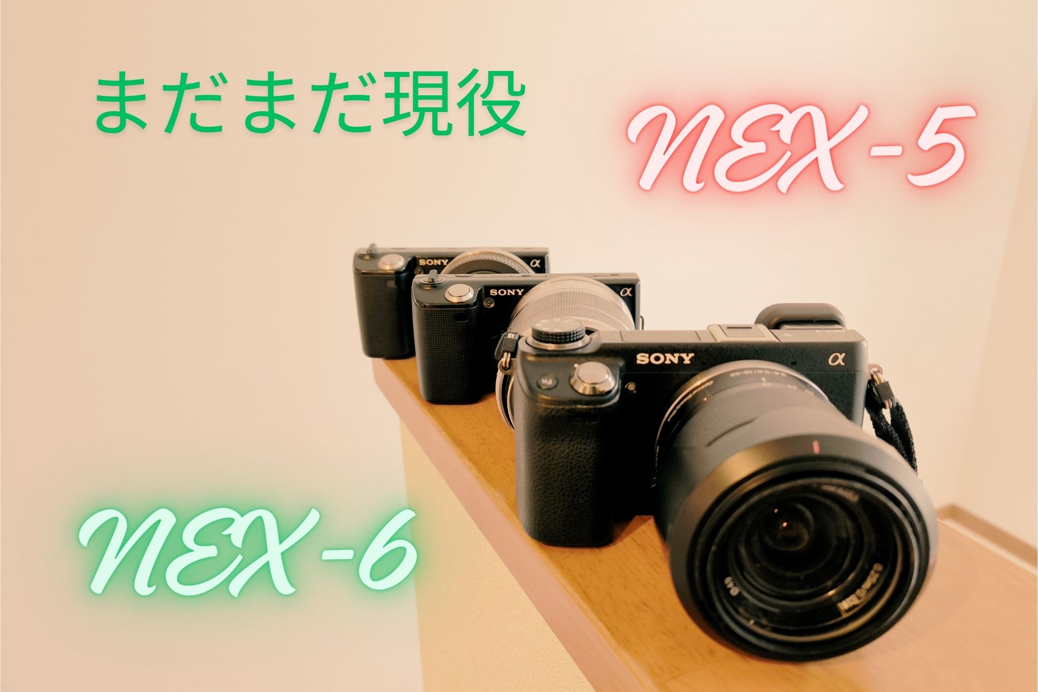 はじめてのAPS-Cミラーレス一眼は中古格安のSONY NEX-５/NEX-6がおすすめ（2024/1）